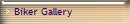 Biker Gallery