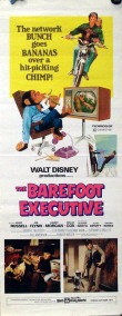 The Barefoot Executive