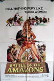Battle of the Amazons