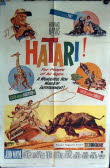 Hatari