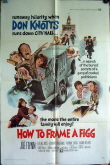 How to Frame a Figg