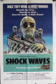 Shock Waves