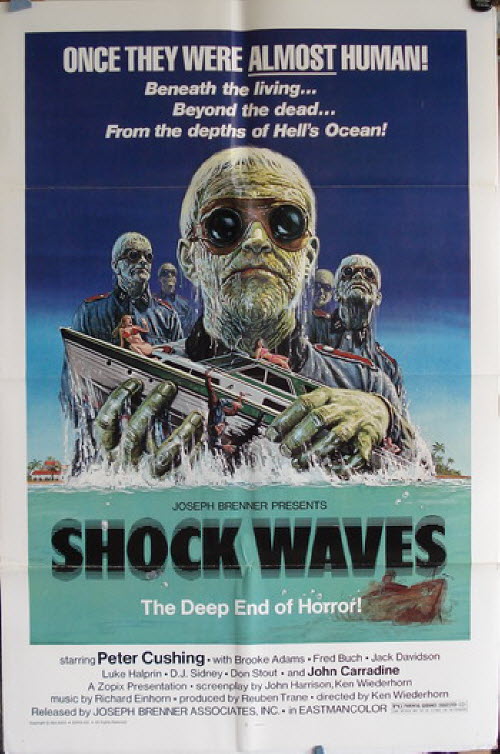 Shock Waves