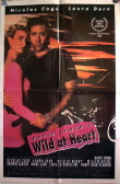 Wild at Heart